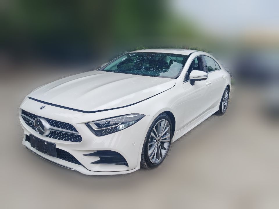Mercedes-Benz CLS 300 2021 2.0T AT Dynamic