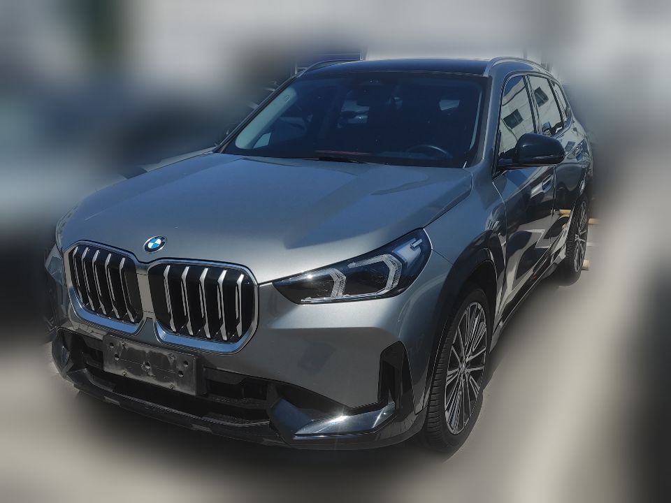 BMW X1 xDrive25Li 2023 2.0T DCT M Sport Package