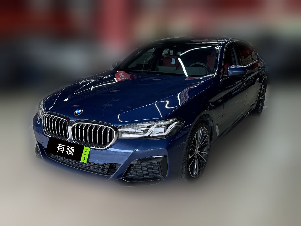 BMW 530Li xDrive 2021 2.0T AT M Sport Package