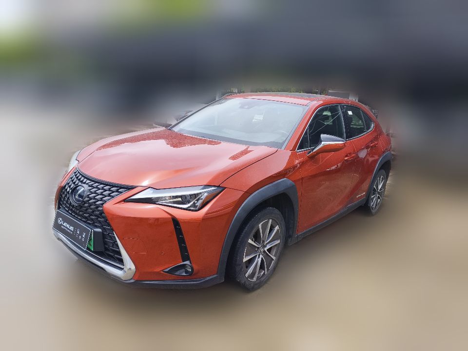 Lexus UX 300e 2020 Pure Edition