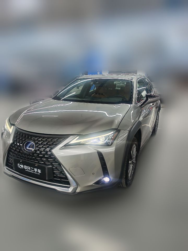 Lexus UX 300e 2020 Pure Edition