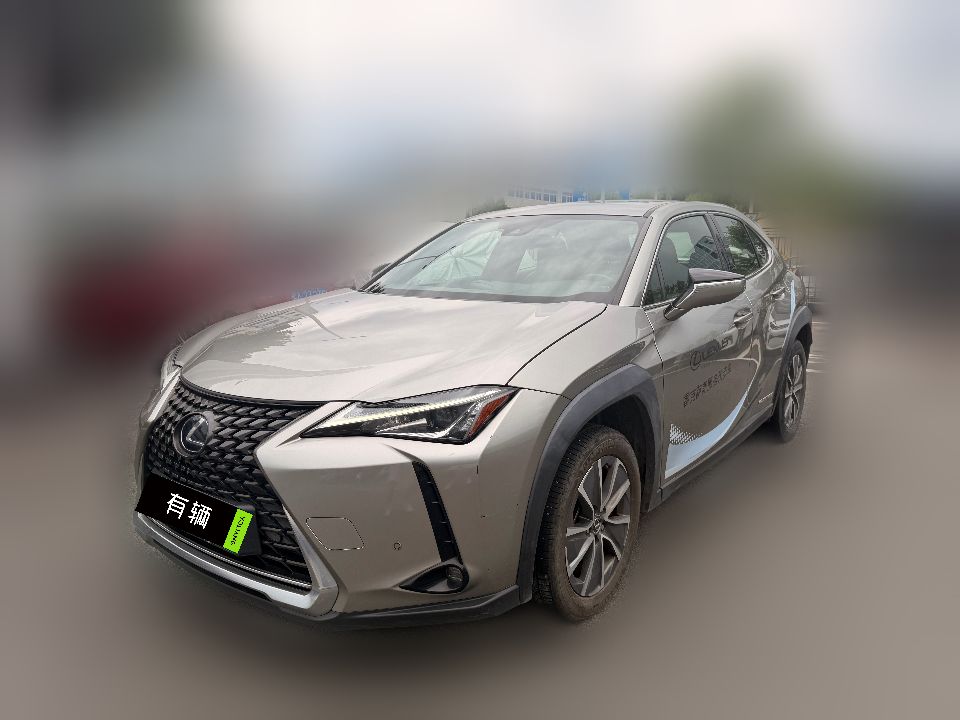 Lexus UX 300e 2020 Pure Edition
