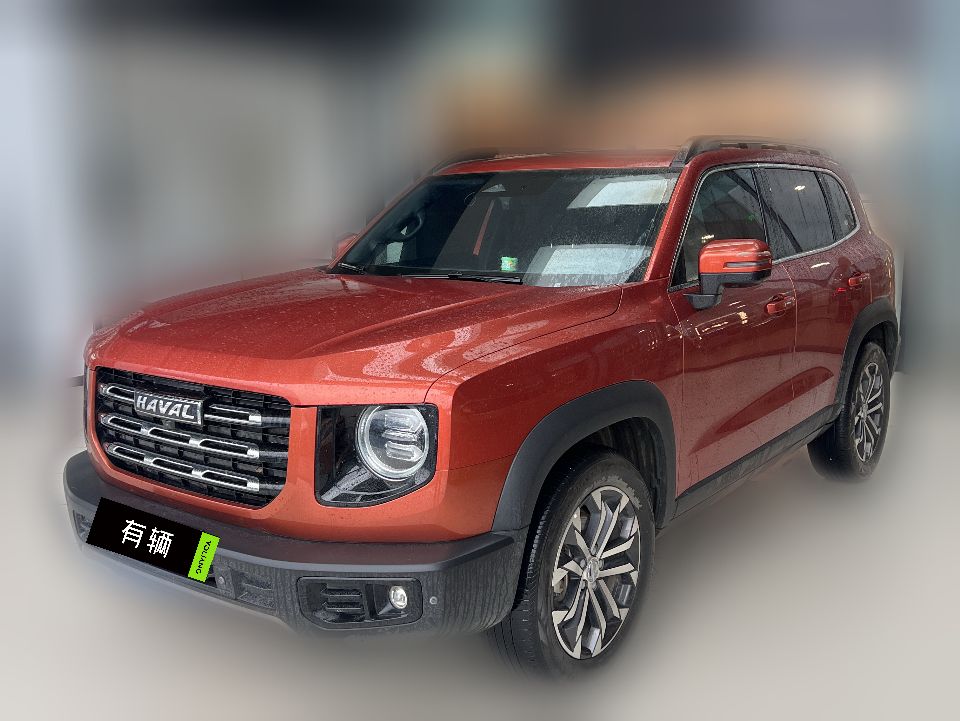 Haval Big Dog 2020 1.5T DCT Border Collie Edition