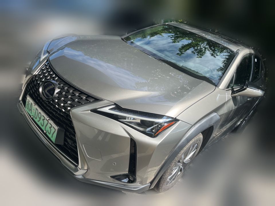 Lexus UX 300e 2020 Pure Edition