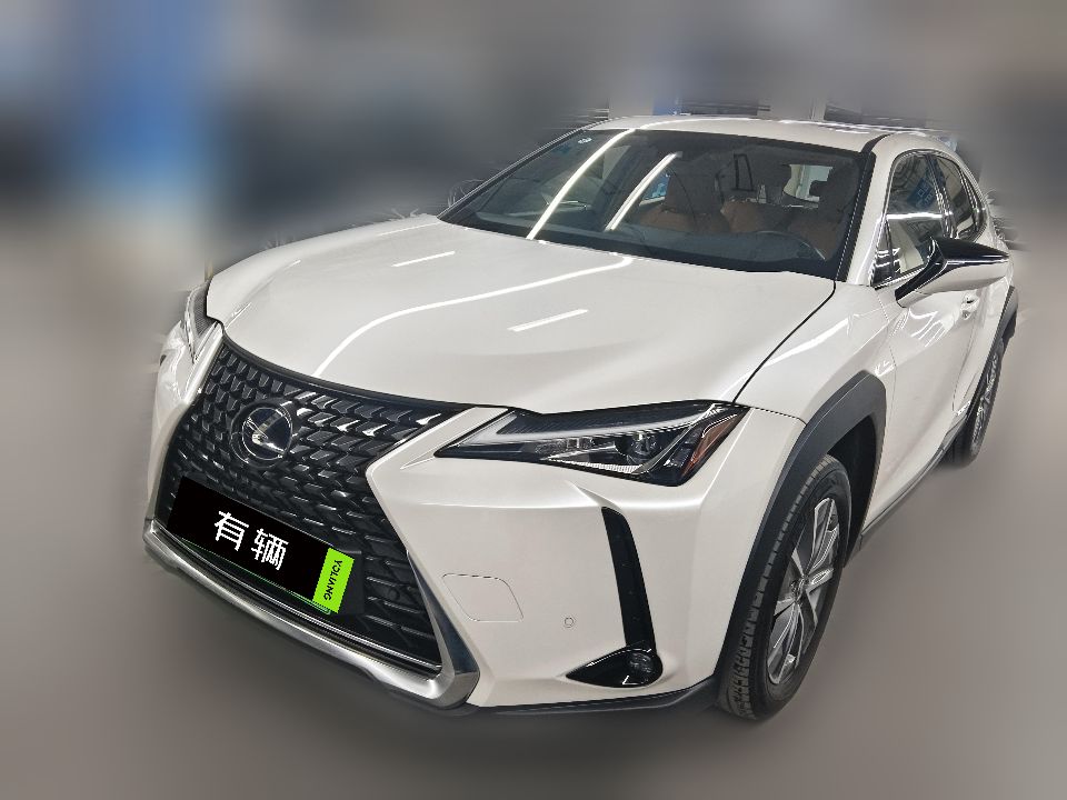 Lexus UX 300e 2020 Pure Edition