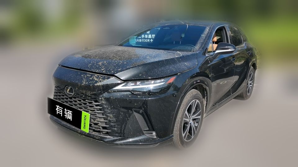 Lexus RX300 2024 2.0T AT AWD Junxiang Edition