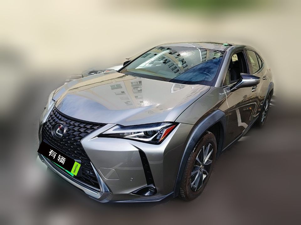 Lexus UX 300e 2020 Pure Edition
