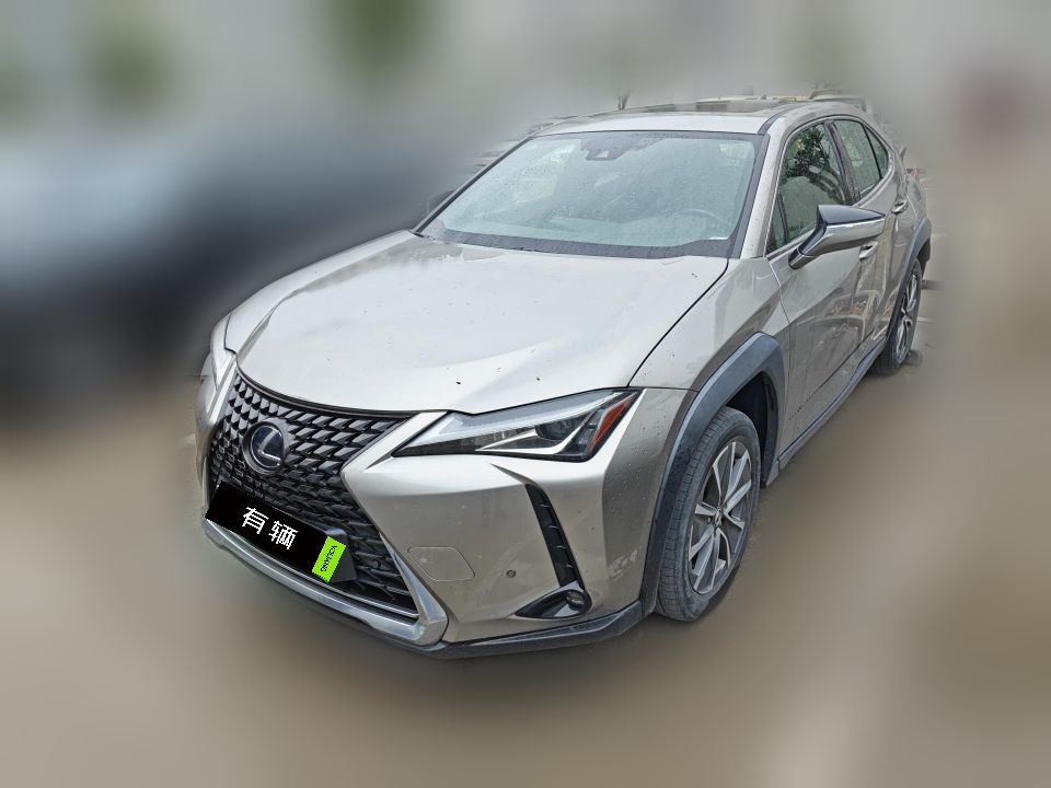 Lexus UX 300e 2020 Pure Edition
