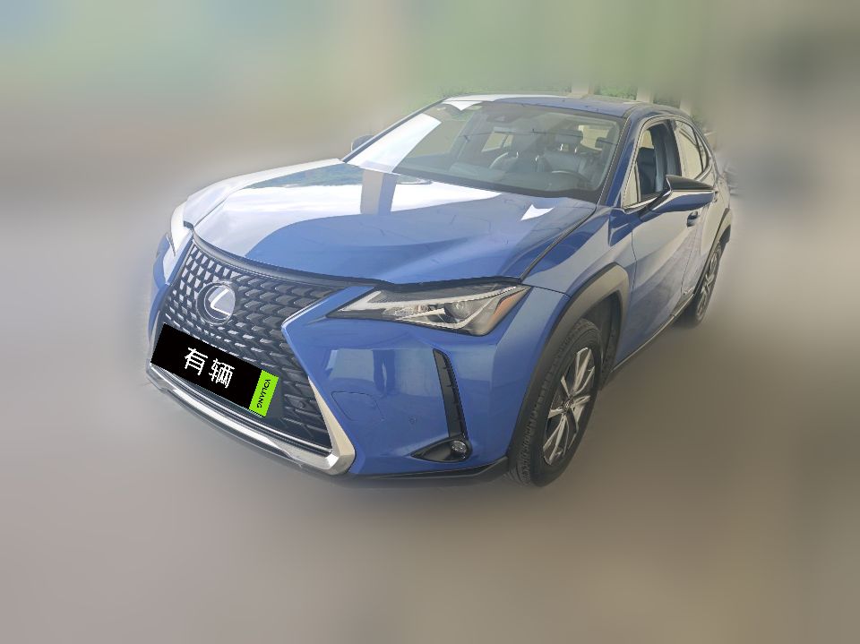 Lexus UX 300e 2020 Pure Edition
