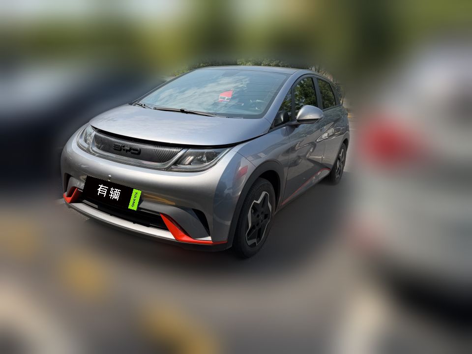 BYD Dolphin 2021 405km Fashion