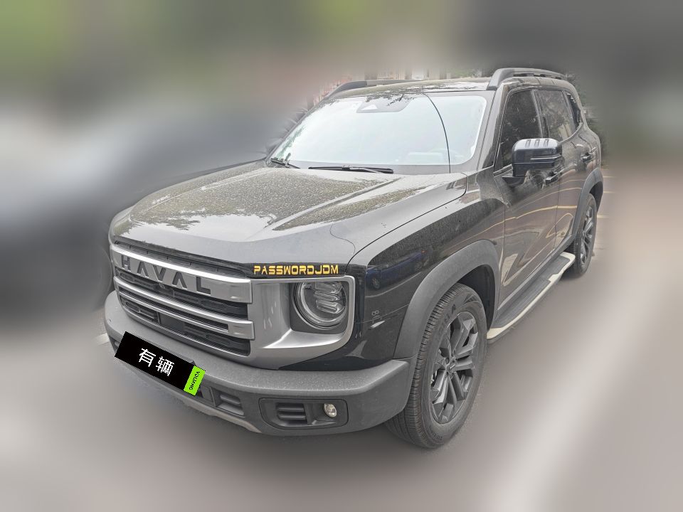 Haval Big Dog 2024 1.5T DCT Border Collie Edition