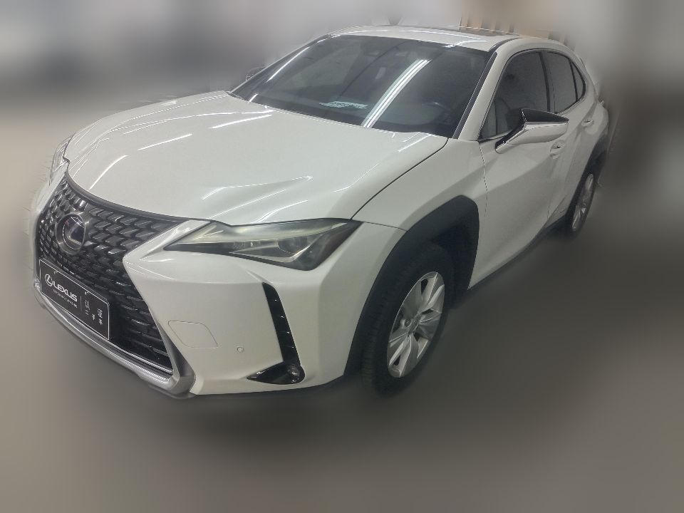 Lexus UX260h 2020 2.0 CVT Experience