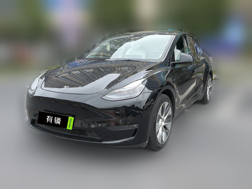 Tesla Model Y 2021 Standard Range RWD