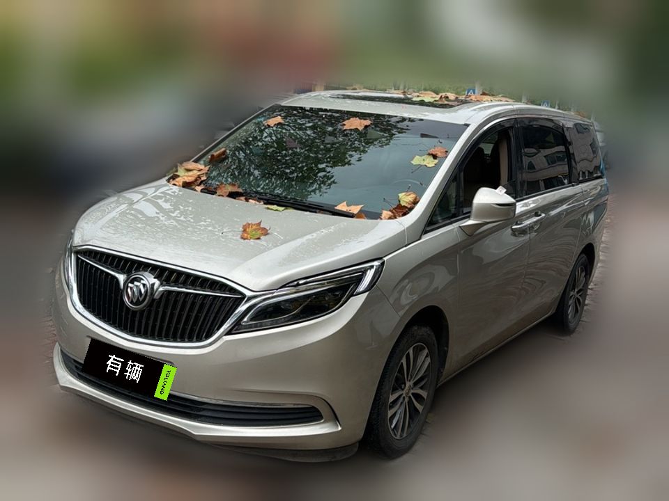 Buick GL8 ES Luxury Business Class 2018 2.0T AT 28T Luxury
