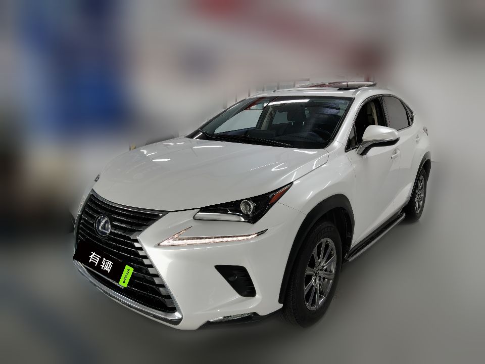 Lexus NX300h 2020 2.5 CVT F Sport