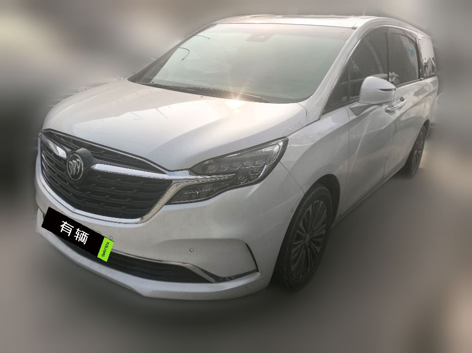 Buick GL8 ES Lu Zun 2021 2.0T AT 653T Flagship