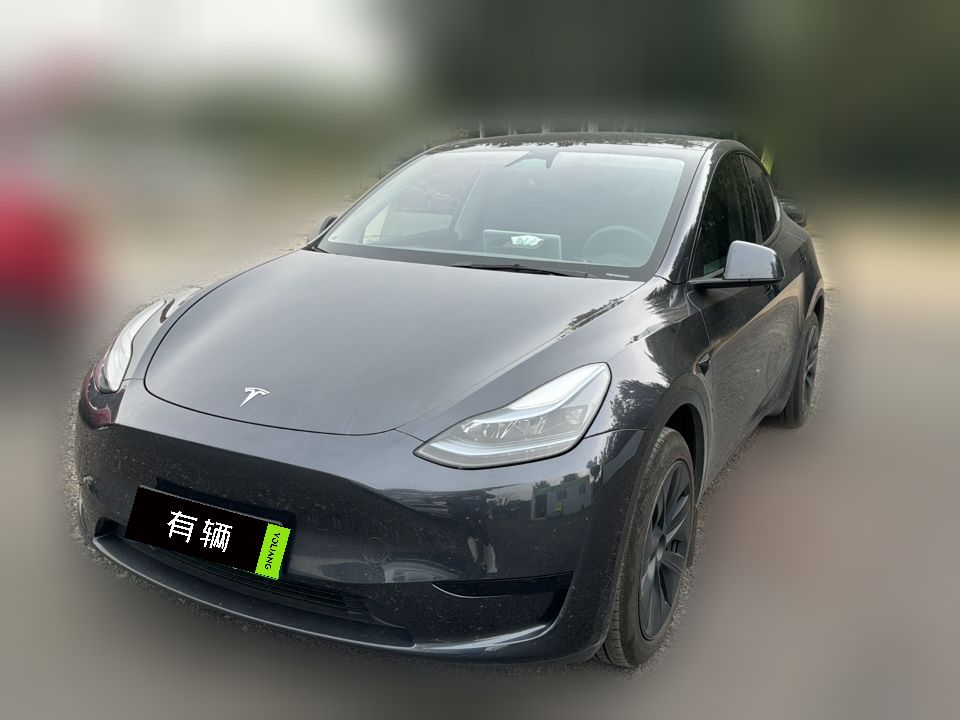 Tesla Model Y 2024 RWD
