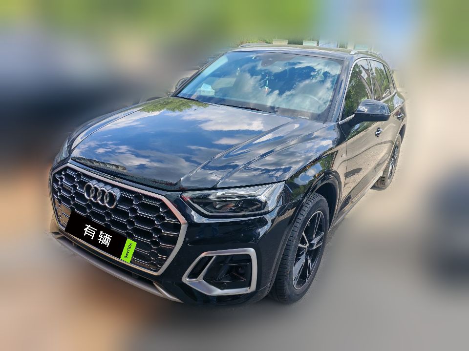 Audi Q5L 2023 2.0TFSI DCT 40TFSI Ice Snow Sports Edition