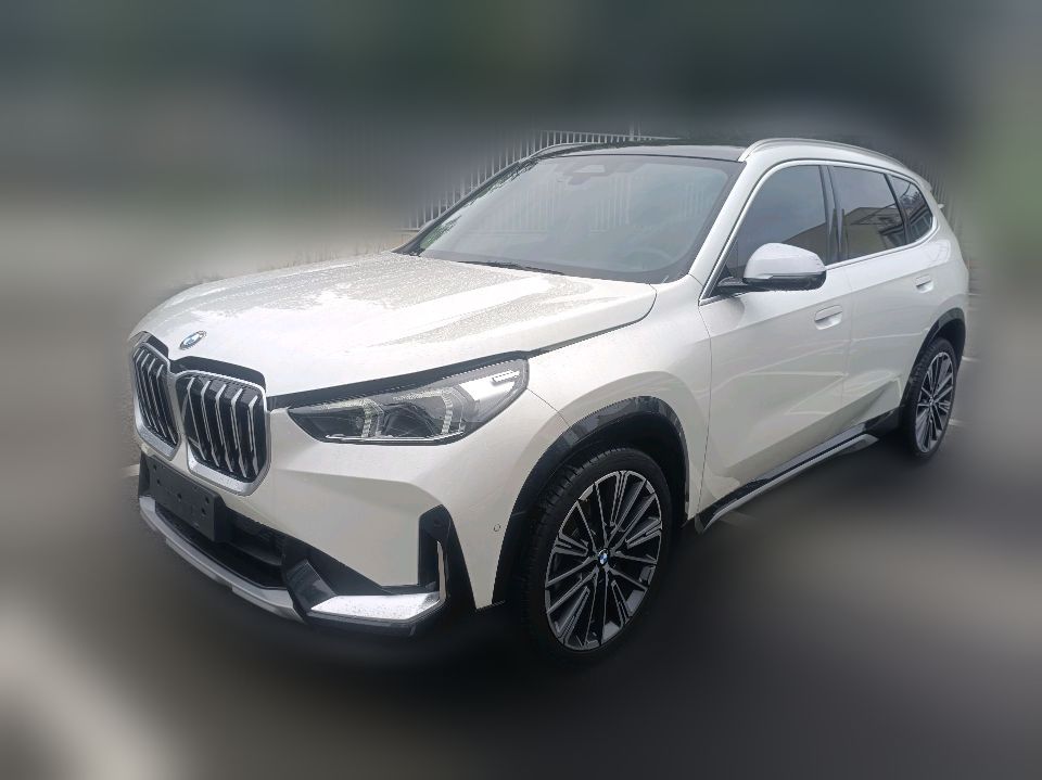 BMW X1 xDrive25Li 2024 2.0T DCT X Design Package