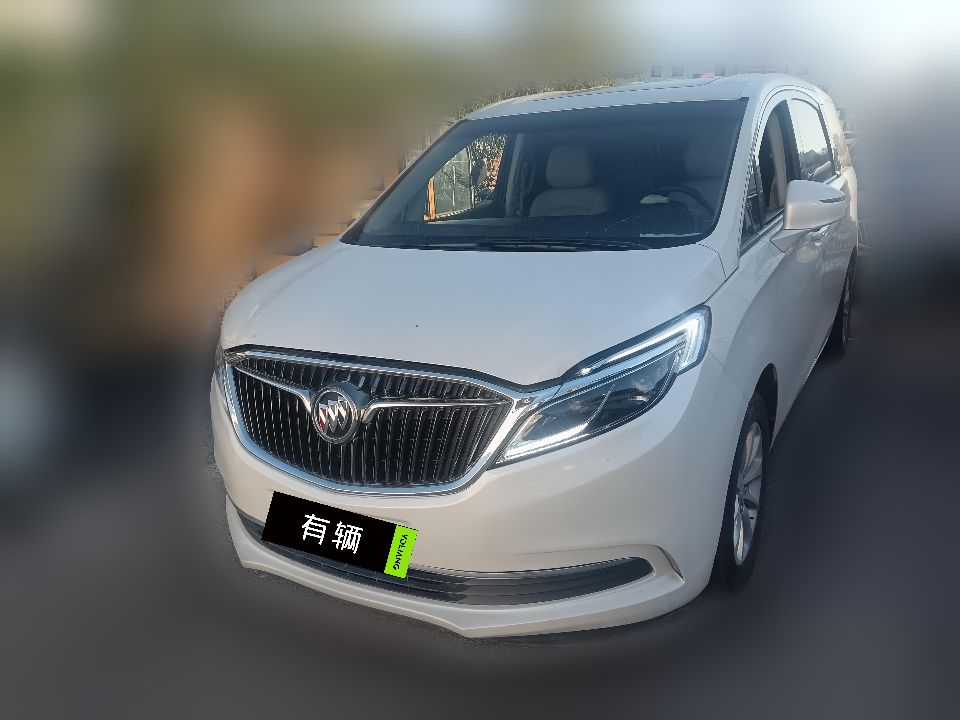 Buick GL8 ES Luxury Business 2017 2.0T AT 28T Comfort