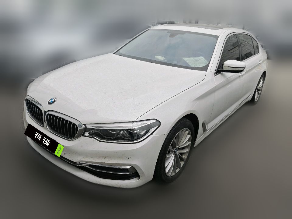 BMW 530Li xDrive 2020 2.0T AT Luxury Package
