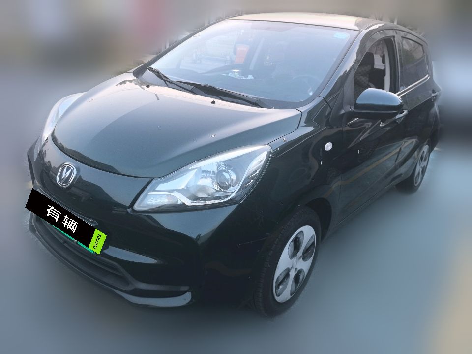 Changan Benben E-Star 2021 National Edition Colorful Trim LFP