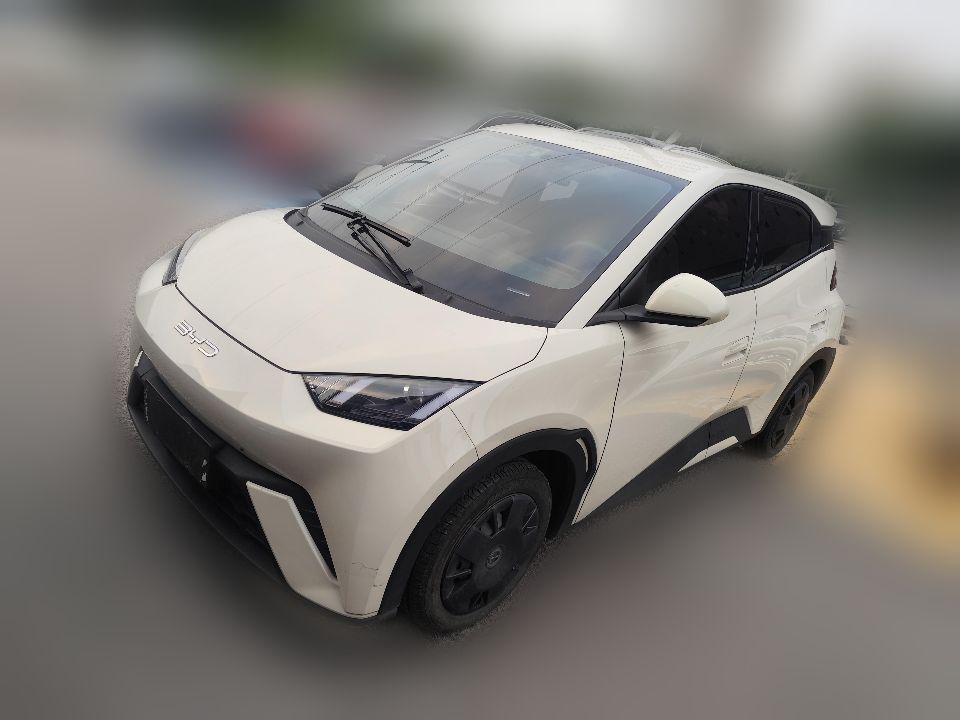 BYD Seagull 2023 Vitality