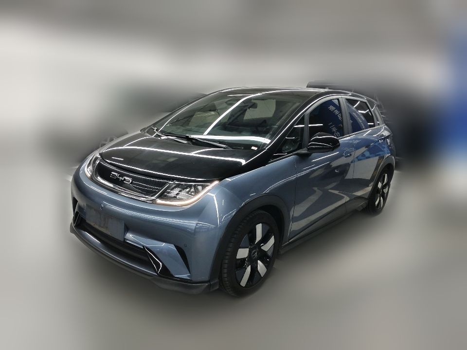 BYD Dolphin 2023 401km Knight Edition