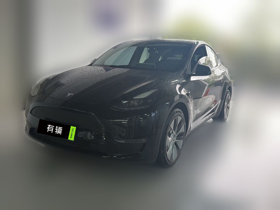 Tesla Model Y 2021 Standard Range RWD