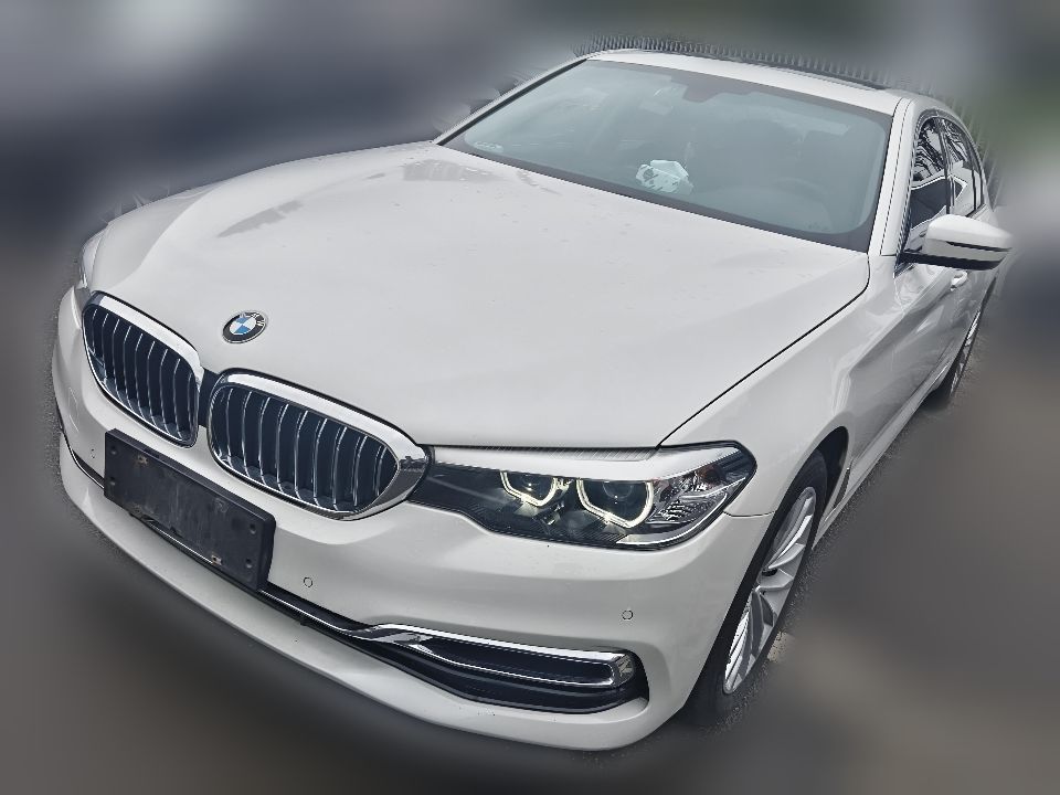 BMW 530Li 2018 2.0T AT Leading Luxury Package Facelift