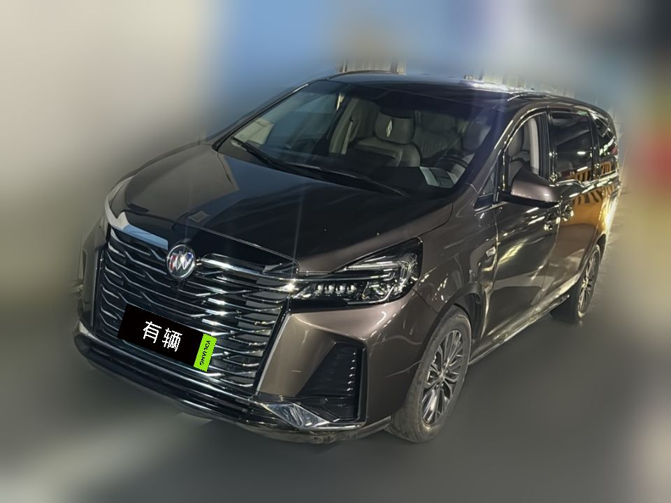 Buick GL8 Lu Shang Business Class 48V 2023 2.0T AT 652T Comfort
