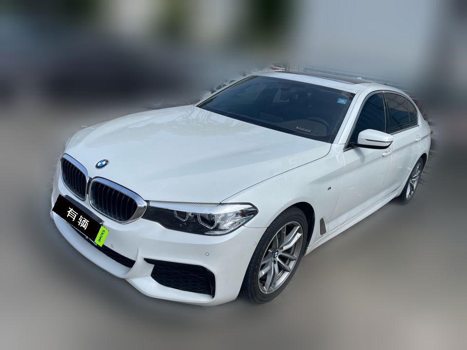 BMW 525Li 2020 2.0T AT M Sport Package
