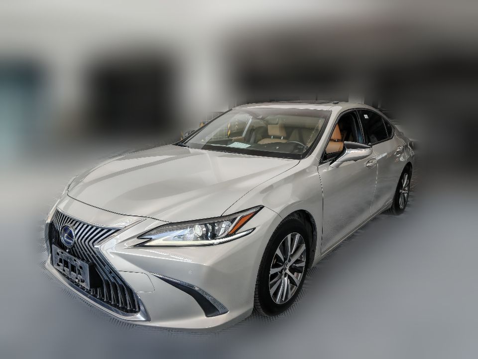 Lexus ES300h 2020 2.5 CVT Excellence