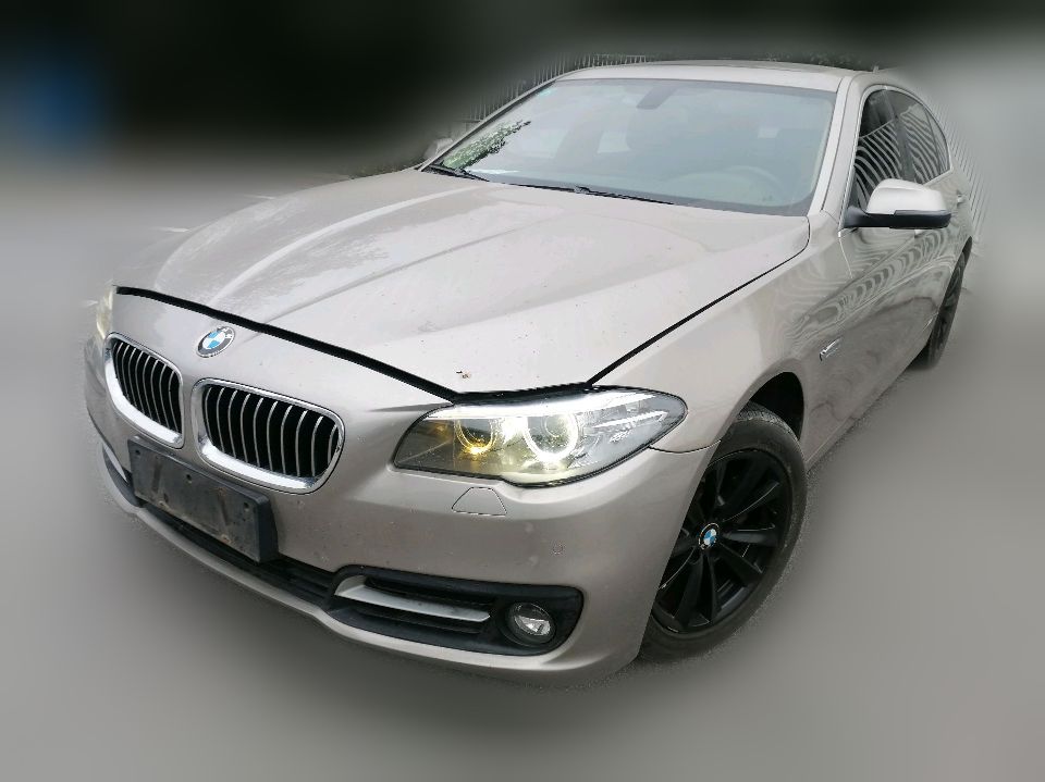 BMW 520Li 2014 2.0T AT Elegant Facelift