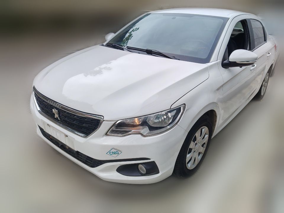 Peugeot 301 2017 1.6 MT Comfort Edition CNG