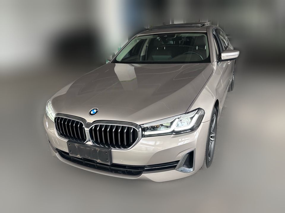 BMW 530Li 2023 2.0T AT Leading Luxury Package