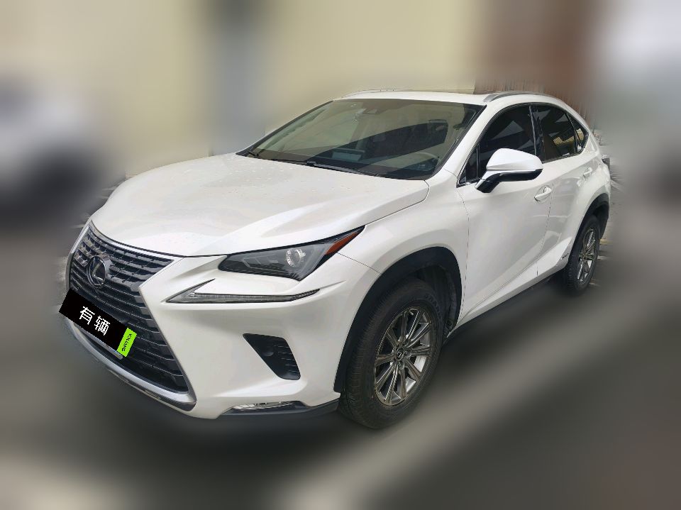 Lexus NX300h 2020 2.5 CVT F Sport