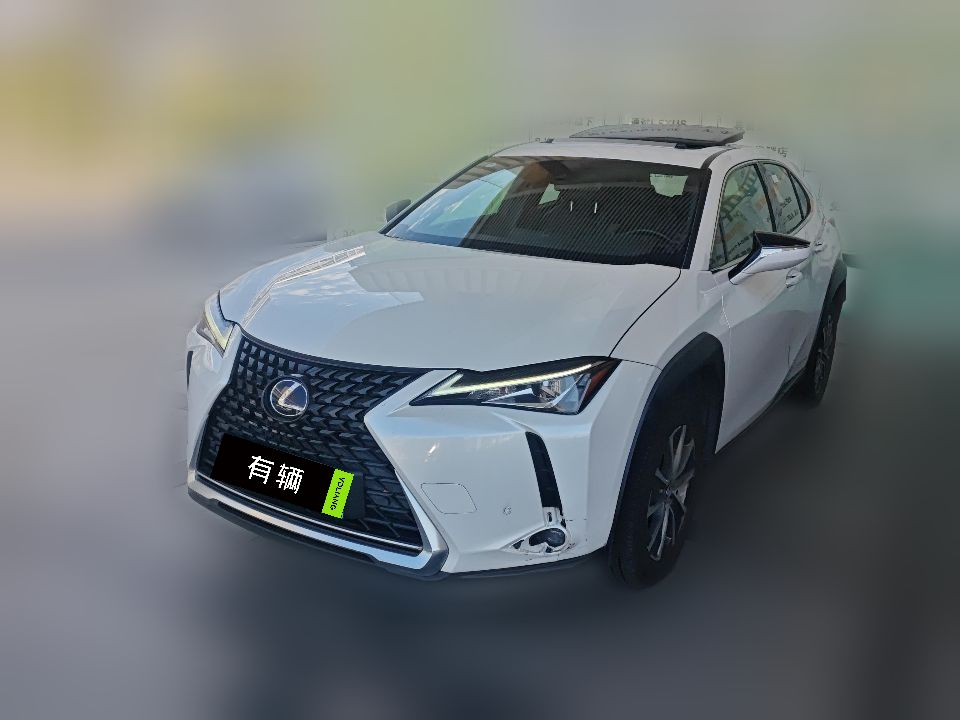 Lexus UX 300e 2020 Pure Edition