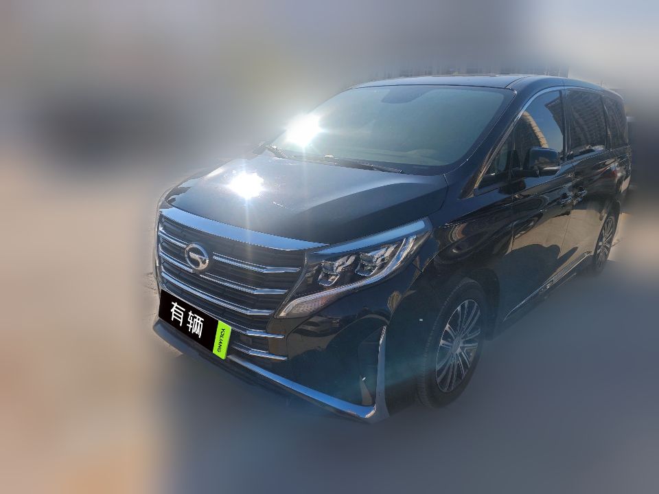 Trumpchi M8 2021 2.0T AT 390T Leader Series Premium