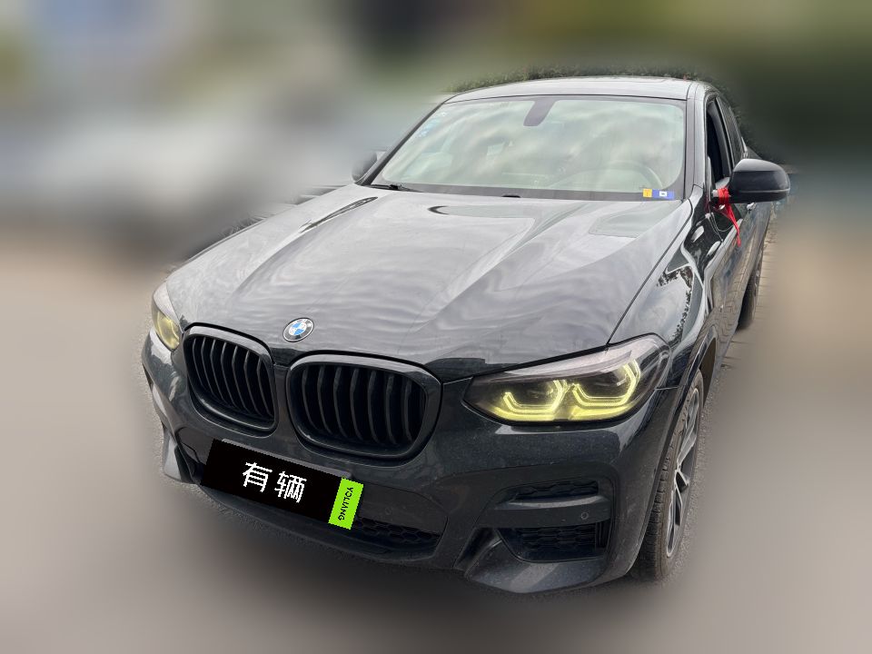 BMW X4 xDrive25i 2020 2.0T AT Black Knight Limited Edition