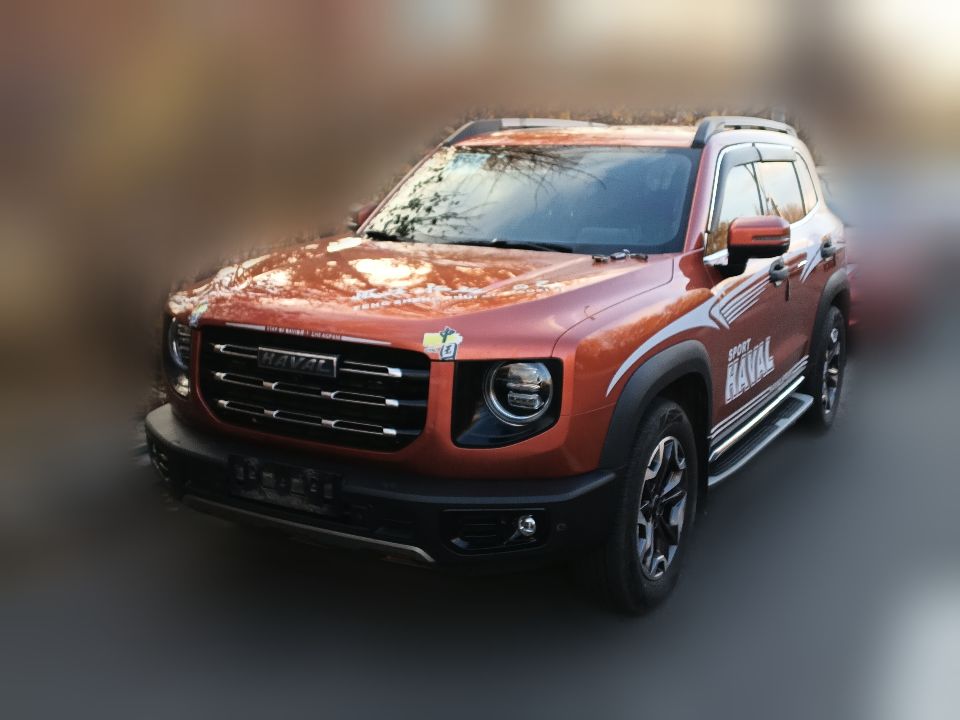 Haval Big Dog 2022 2.0T DCT AWD Chinese Rural Dog