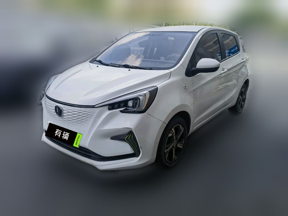 Changan Benben E-Star 2020 Heart Edition