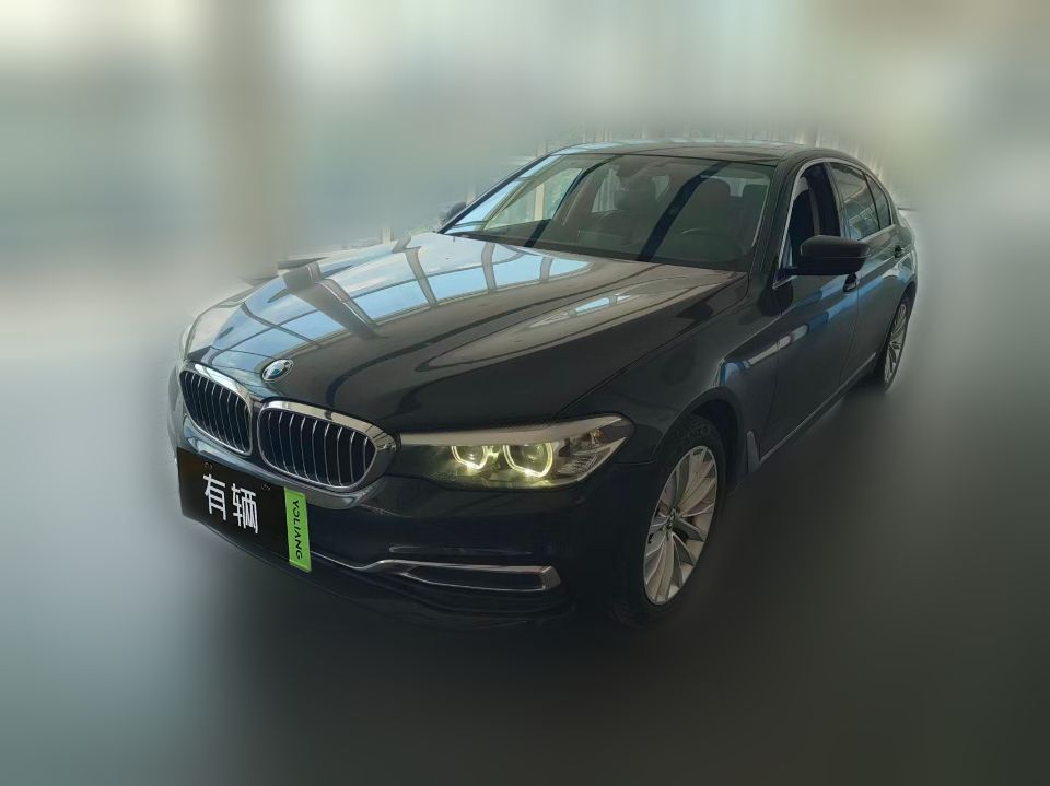 BMW 530Li 2019 2.0T AT Luxury Package Facelift