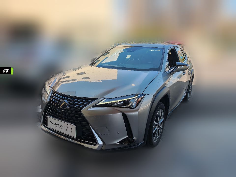 Lexus UX 300e 2020 Pure Edition