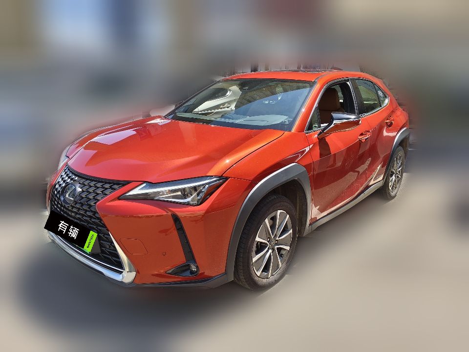 Lexus UX 300e 2020 Pure Edition