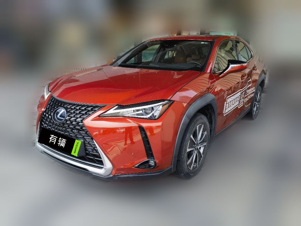 Lexus UX 300e 2020 Pure Edition