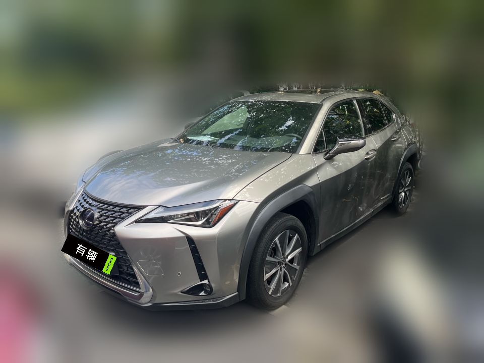 Lexus UX 300e 2020 Pure Edition