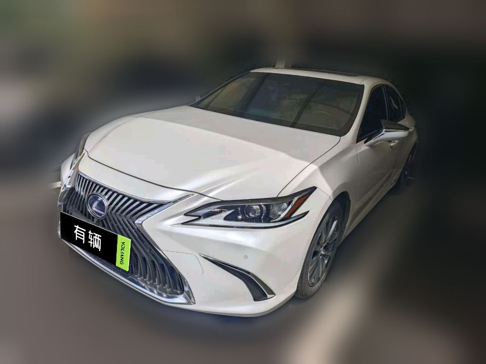 Lexus ES300h 2020 2.5 CVT Excellence