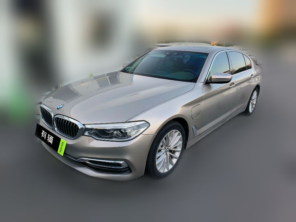 BMW 530Le 2020 2.0T AT Luxury Package