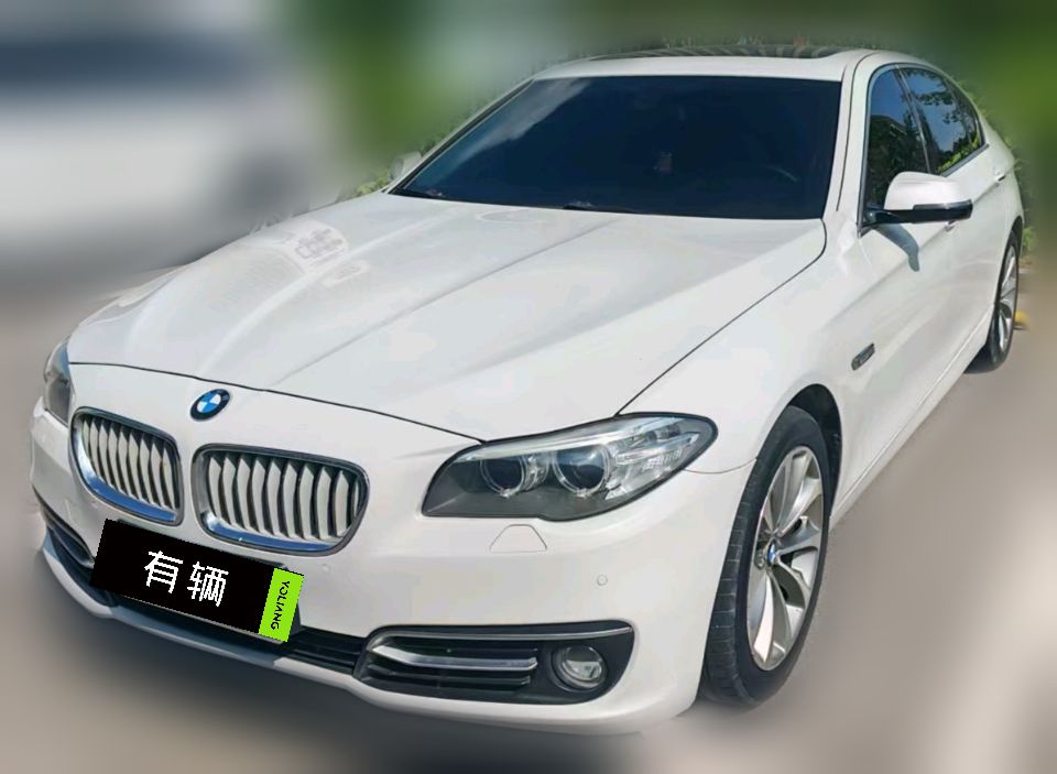 BMW 525Li 2014 2.0T AT Leading